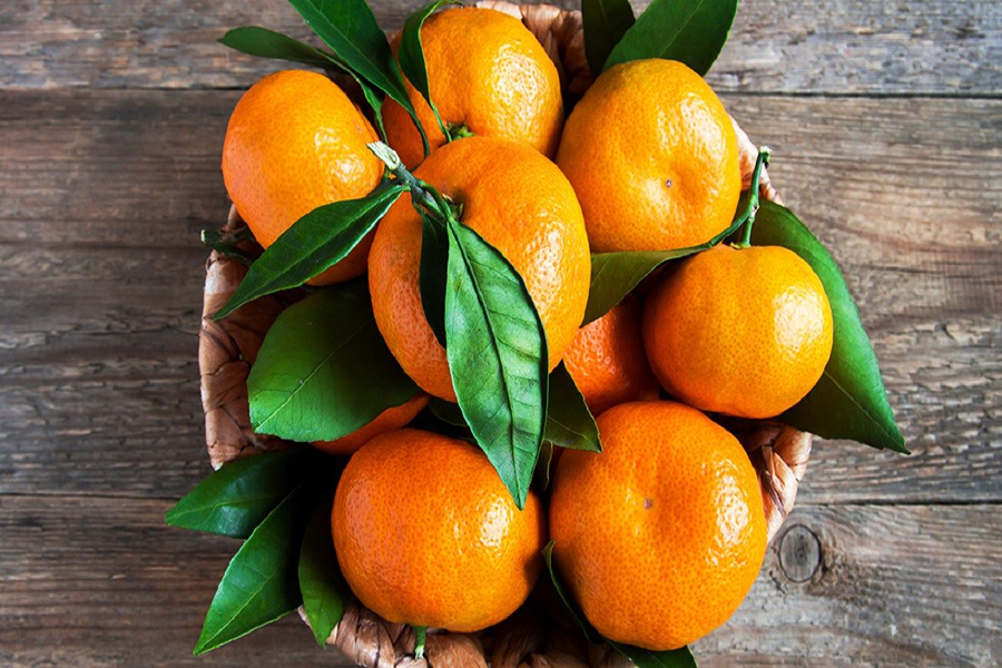Cam và quýt không chỉ cung cáp vitamin C mà còn bổ sung một lượng Canxi đáng kể 
