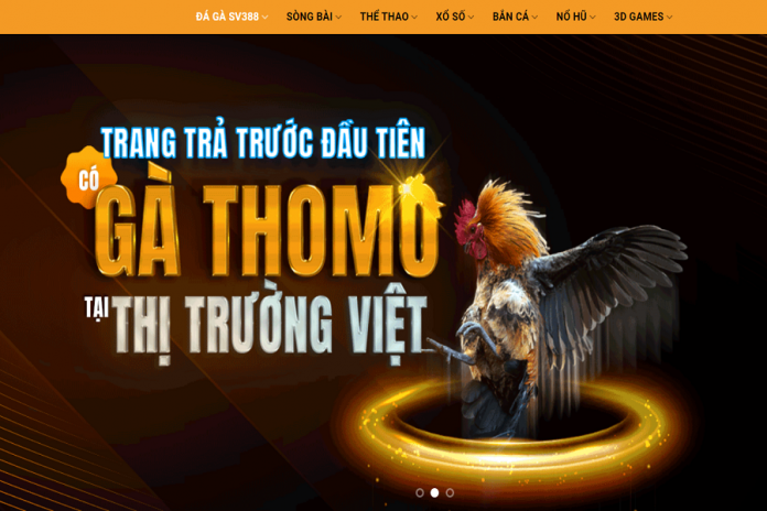 Nhà cái game bài uy tín số 1 Việt Nam hiện nay - MCW Việt