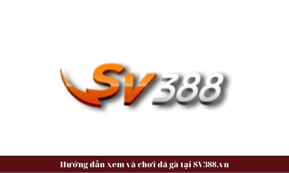 Hướng dẫn xem và chơi đá gà tại SV388.vn